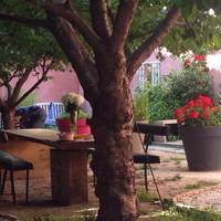 BnB Vieux Port Panier Jardin