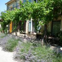 Ferme En Provence