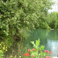Domaine des Petits Cancets