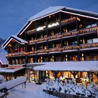 Hotel Alpina