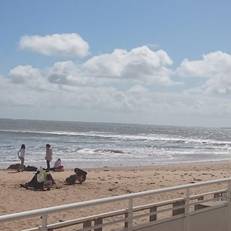 Appartement Ocean