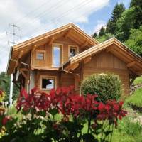 Les Chalets des Chatelmines