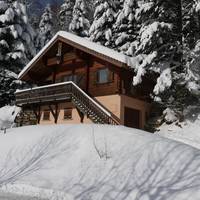 Chalet individuel en Rondin Vologne 3 chambres