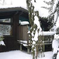 Apartment La Bresse