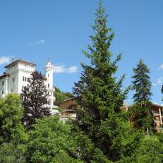 Chateau Des Magnans 12