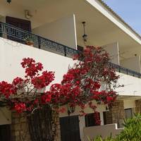 Residence Les Mandariniers