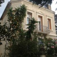 A l'ombre du cedre