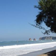 Rental Apartment Plaqueminiers - Hendaye