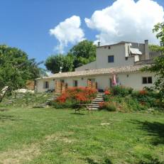 Les Anes de Forcalquier