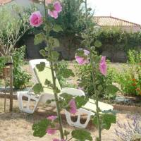 Chambre d'hote Fleur de Potager