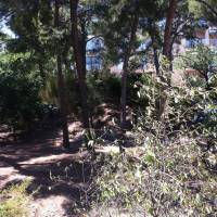 Appartement Cassis