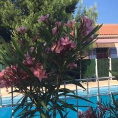 Gite Les Feuilles de Chene