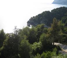 Golden View