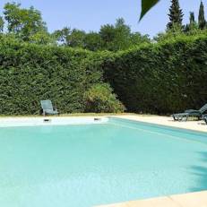 le chene vert