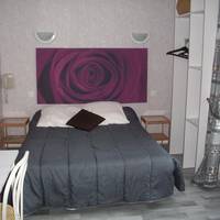 Hotel Du Cygne