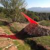 Allees Provencales