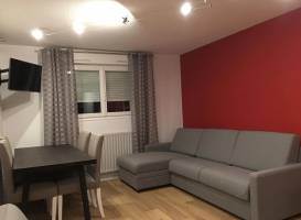 Apartment Villeurbanne
