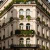 Amarante Champs-Elysees
