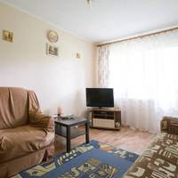 Svetlana Apartment