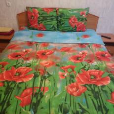 Apartment Naberegnaja U Evgena