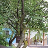 Holiday Home na Polevom