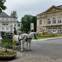 Schweizer Hof