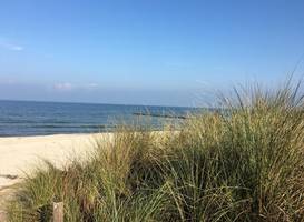 TraumPier