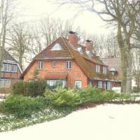 Ferienhaus-Haus-am-Kurpark-Whg-2