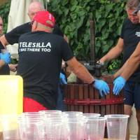 Telesilla