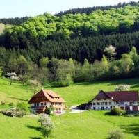 Morgethof