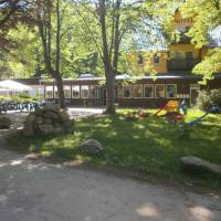 Alte Waldmuhle