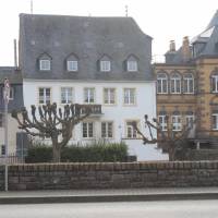 Ferienwohnung mit Moselblick