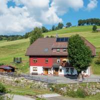 Apartment Todtnauberg 2