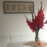 Apartment Solingen