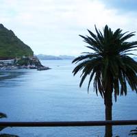 Dom Pedro Madeira
