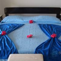 Fairyland Apt