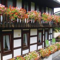 One-Bedroom Apartment Schmallenberg 04