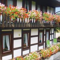 Three-Bedroom Apartment Schmallenberg 05