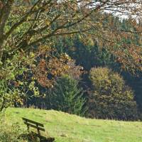 Holiday home St. Andreasberg 40