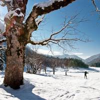 Holiday home Haus In Den Alpen 1