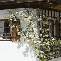 Gastehaus Munchner Hof