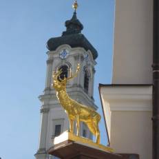AKZENT Brauerei Hotel Hirsch