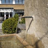 Landhotel Wittenbeck