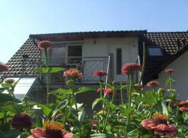 Ferienwohnung Schauenburgblick