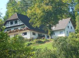 Gruner Ausblick