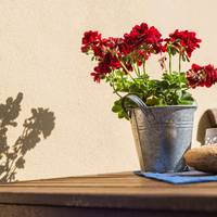 Hotel garni Zum Rebstock