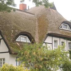 Reethauser auf Rugen