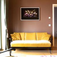 Haveana Apartment Genf