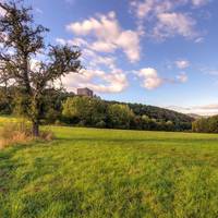 B313 (Ferienpark Rhein-Lahn)