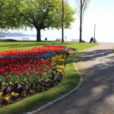 Ferienwohnung Louise 50 m zum See
